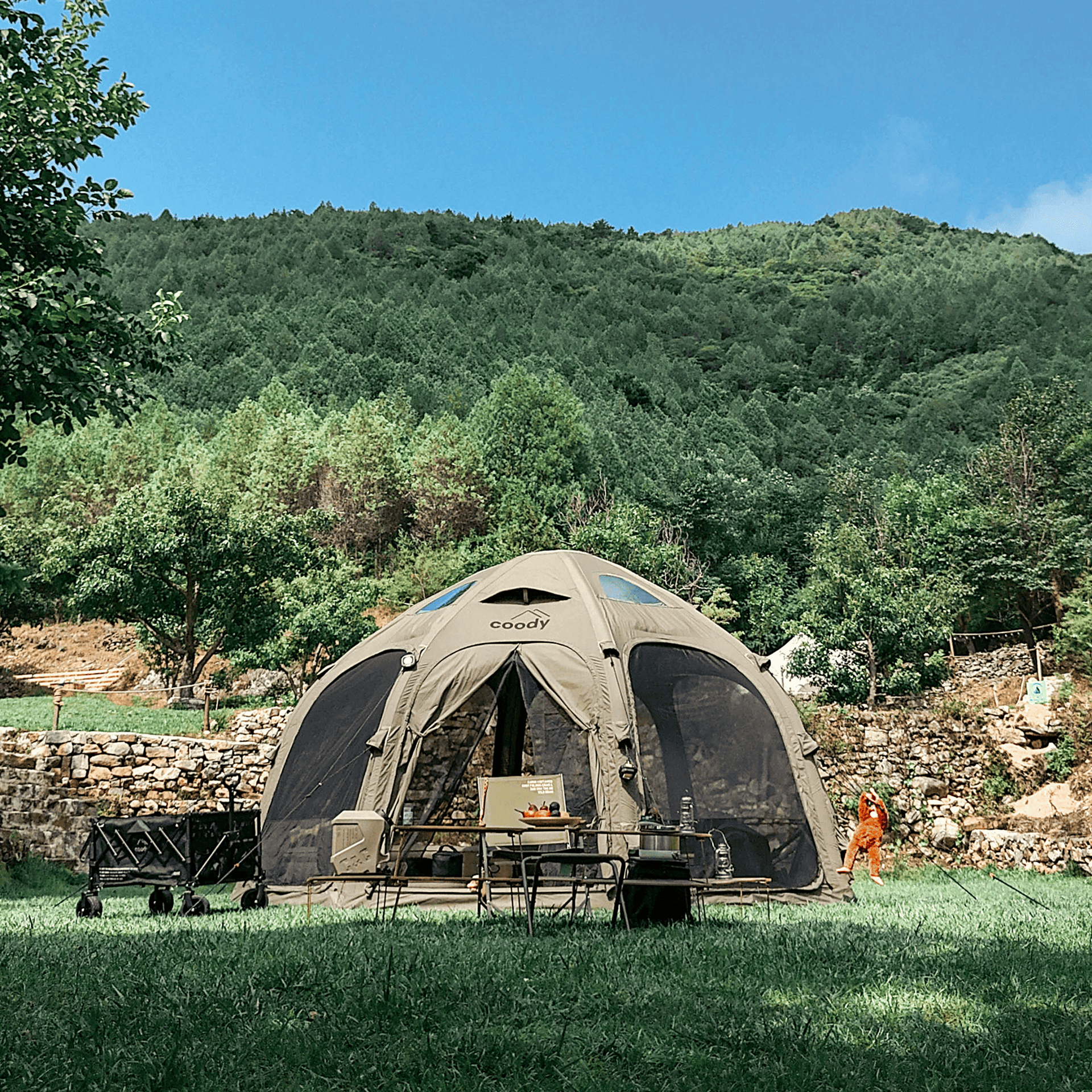 Coody DOME - obrazek 11