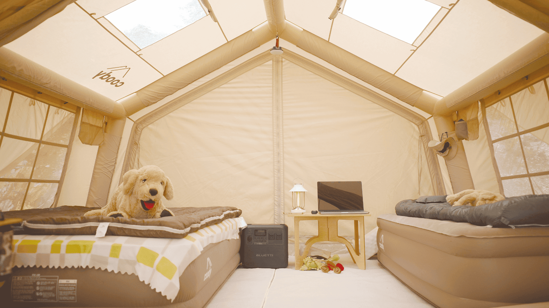 Coody 13.6 - obrazek 7