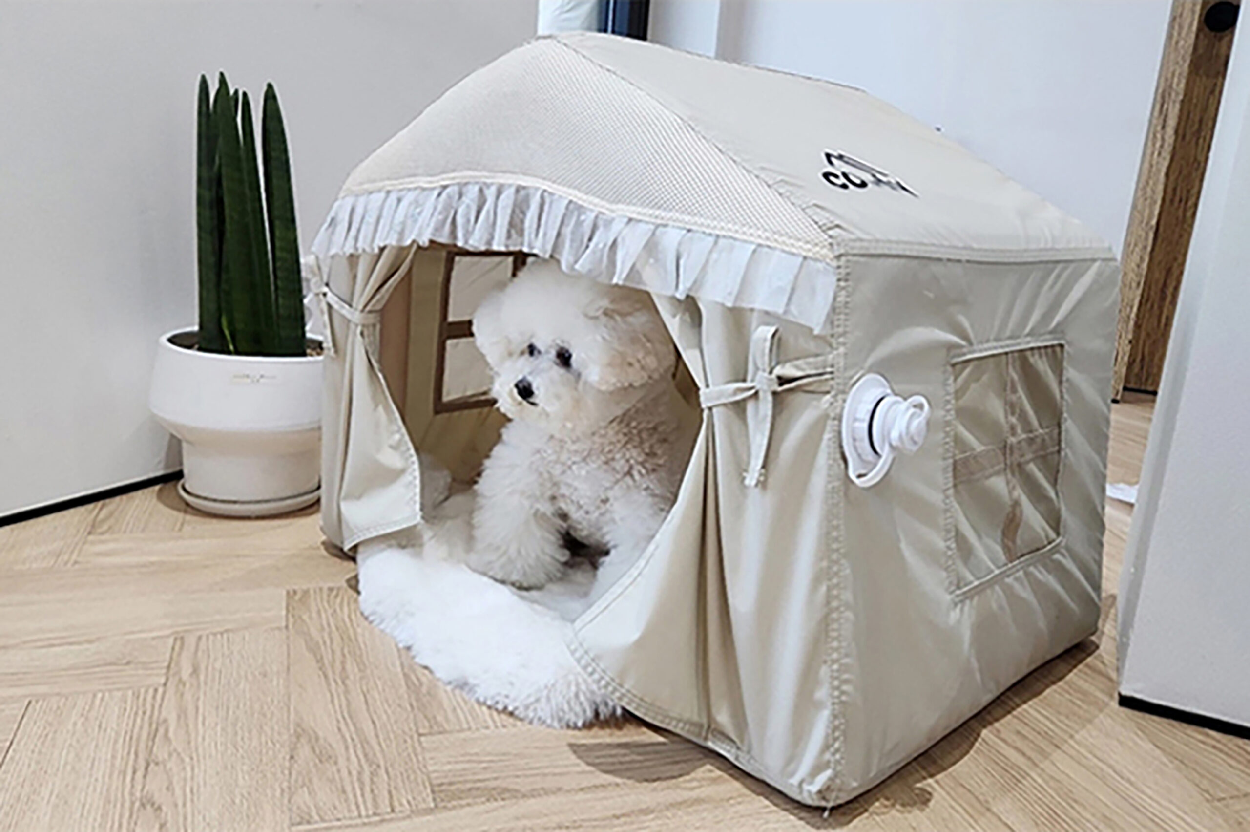 Coody Pet - obrazek 7